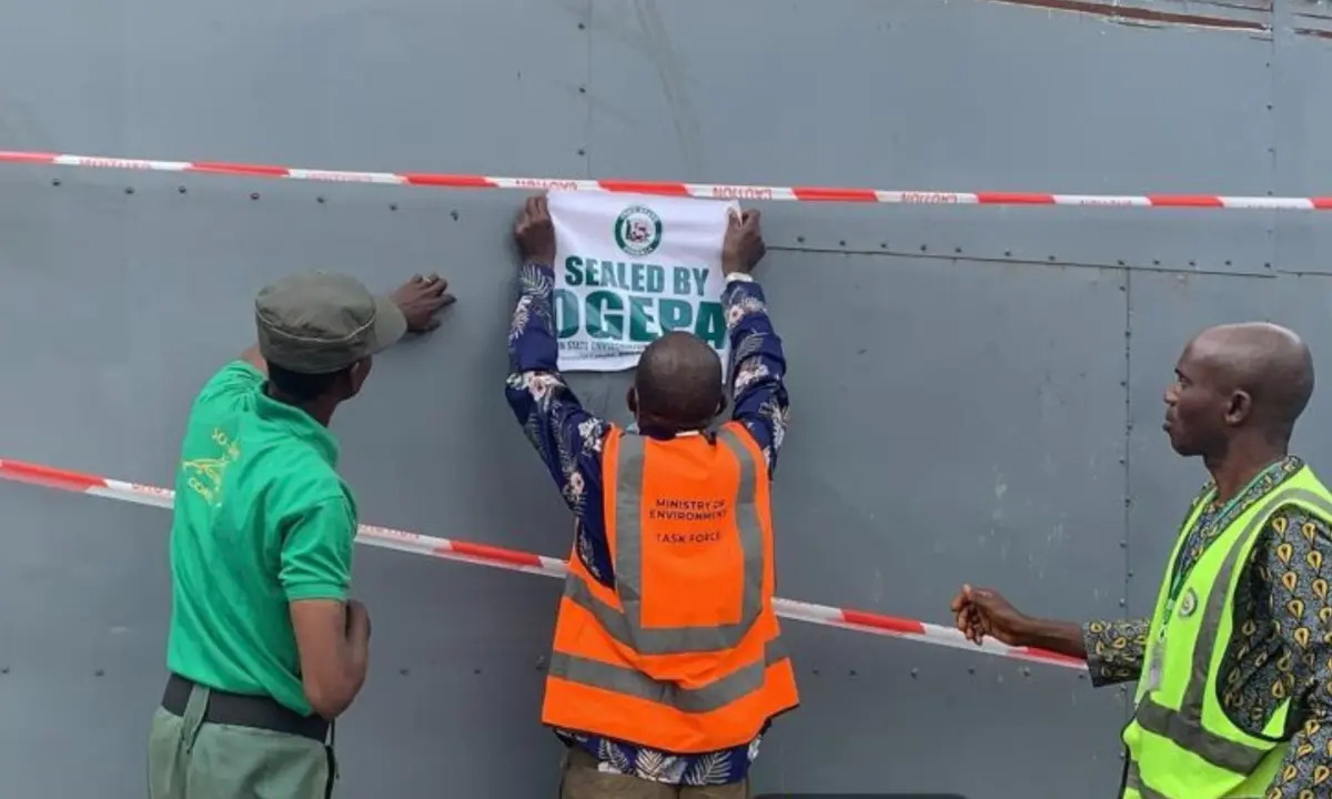 MixCollage 08 Sep 2024 05 40 PM 6336