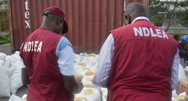 NDLEA File