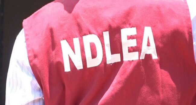 NDLEA