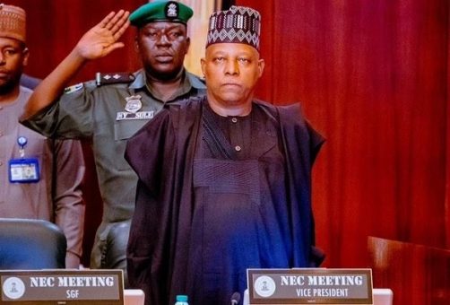 Shettima presides over NEC 502x340 1
