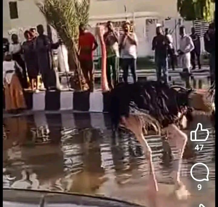 WhatsApp Image 2024 09 10 at 11.30.54