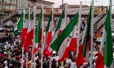 PDP rally logo 1