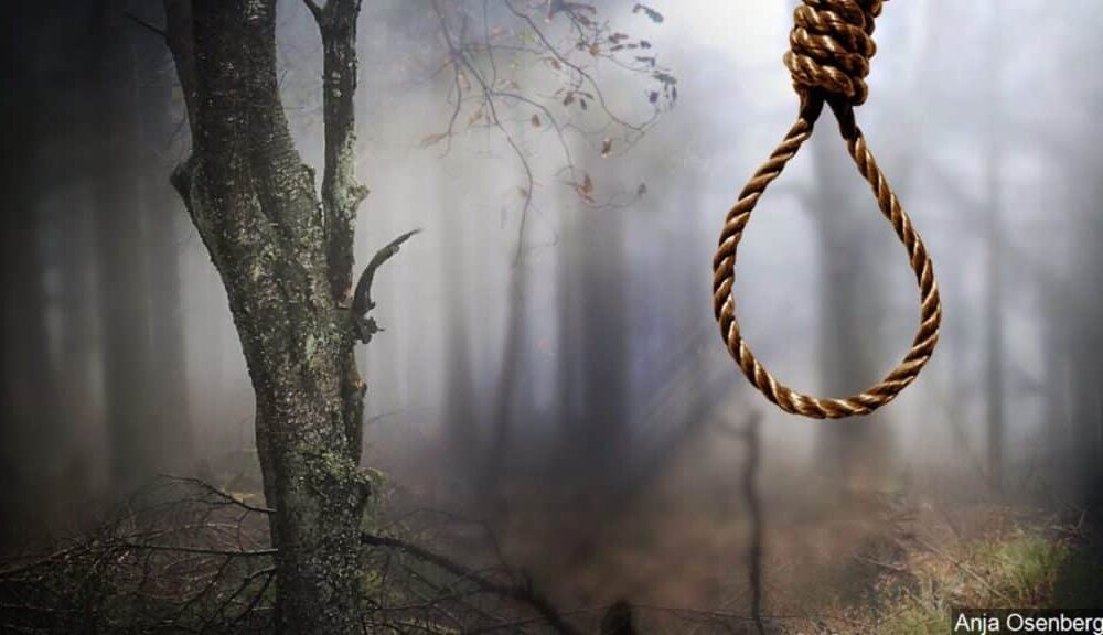 Suicide on a tree 1024x576 1