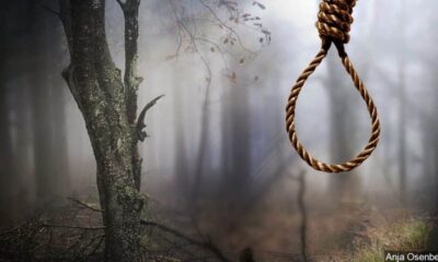 Suicide on a tree 1024x576 1