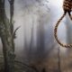 Suicide on a tree 1024x576 1