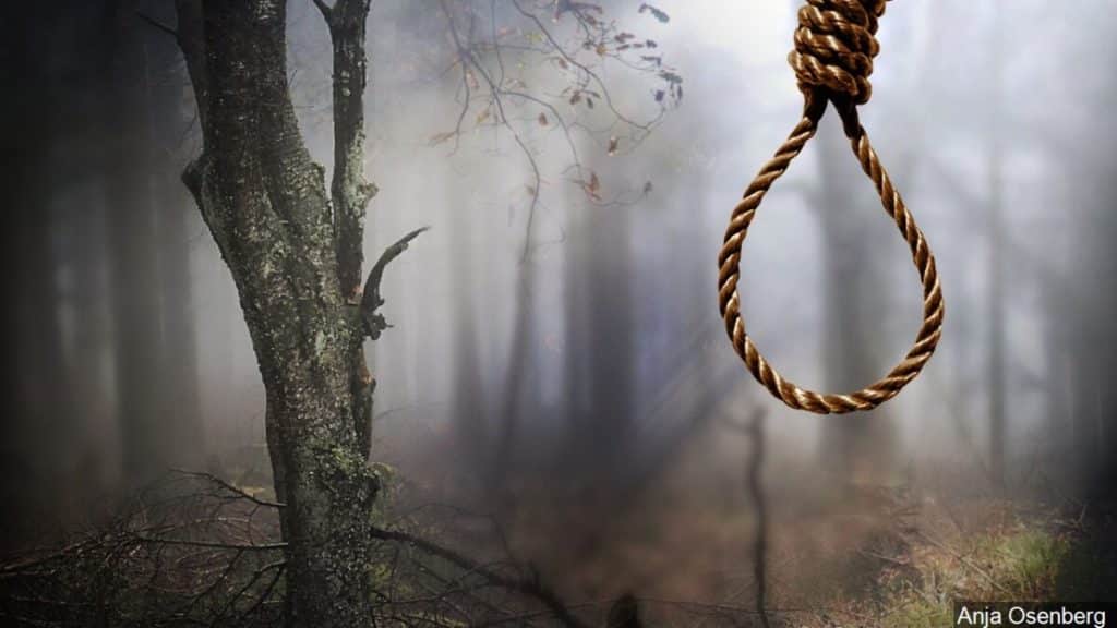 Suicide on a tree 1024x576 1