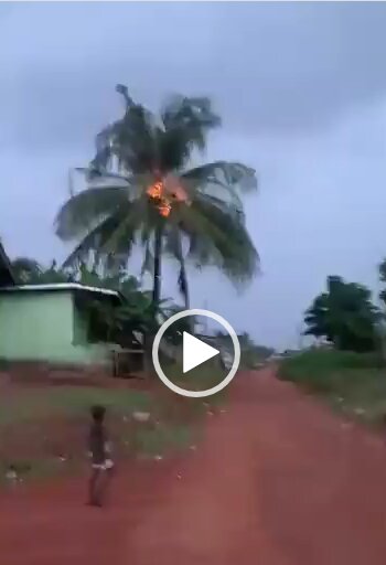 WhatsApp Image 2024 10 30 at 19.44.51 91a85d0f