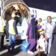 stranded in Libya