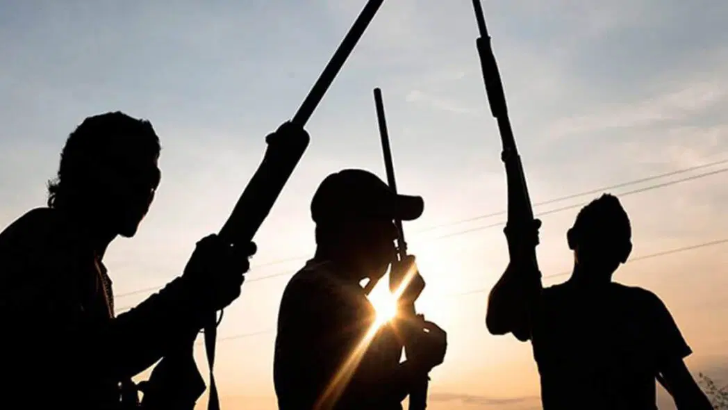 Gunmen used