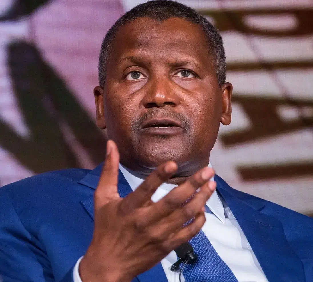 alike dangote 1