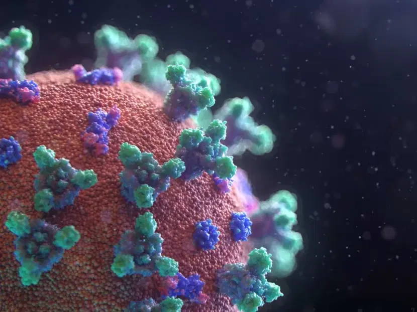 image 236