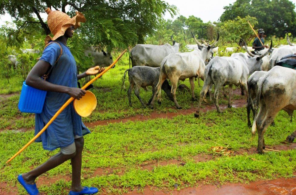 Fulani Herdsmen e1668755020717