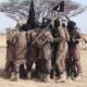 ISWAP Terrorists 1