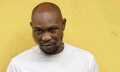 Seun Kuti 400x240 1