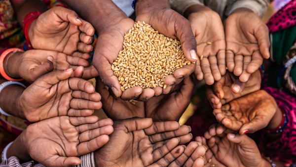 World hunger 1