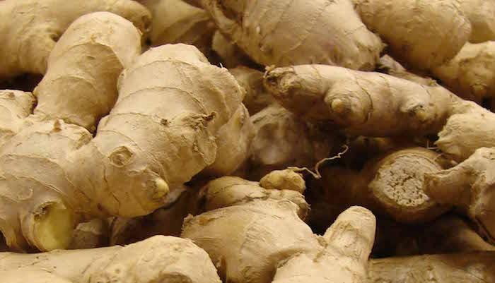 ginger 1