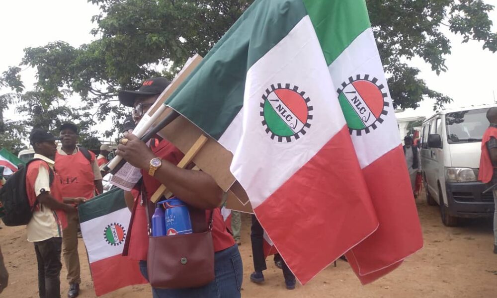 NLC protesters 1