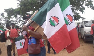 NLC protesters