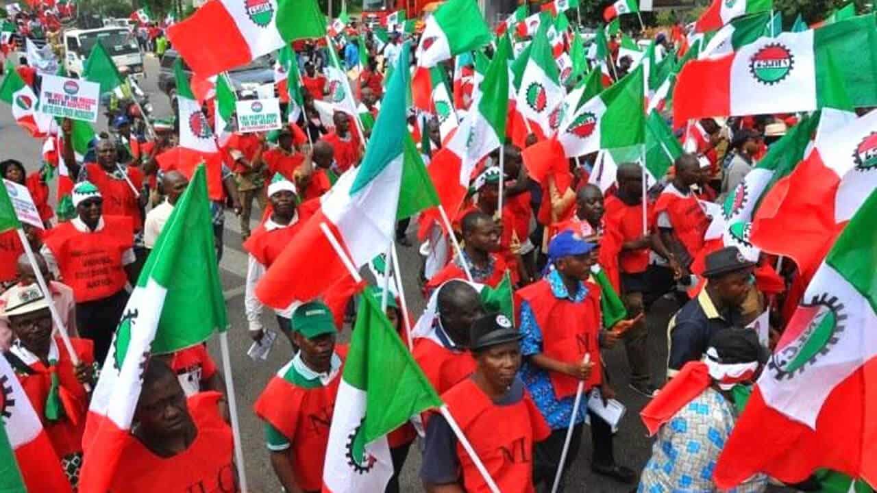 NLC1 1