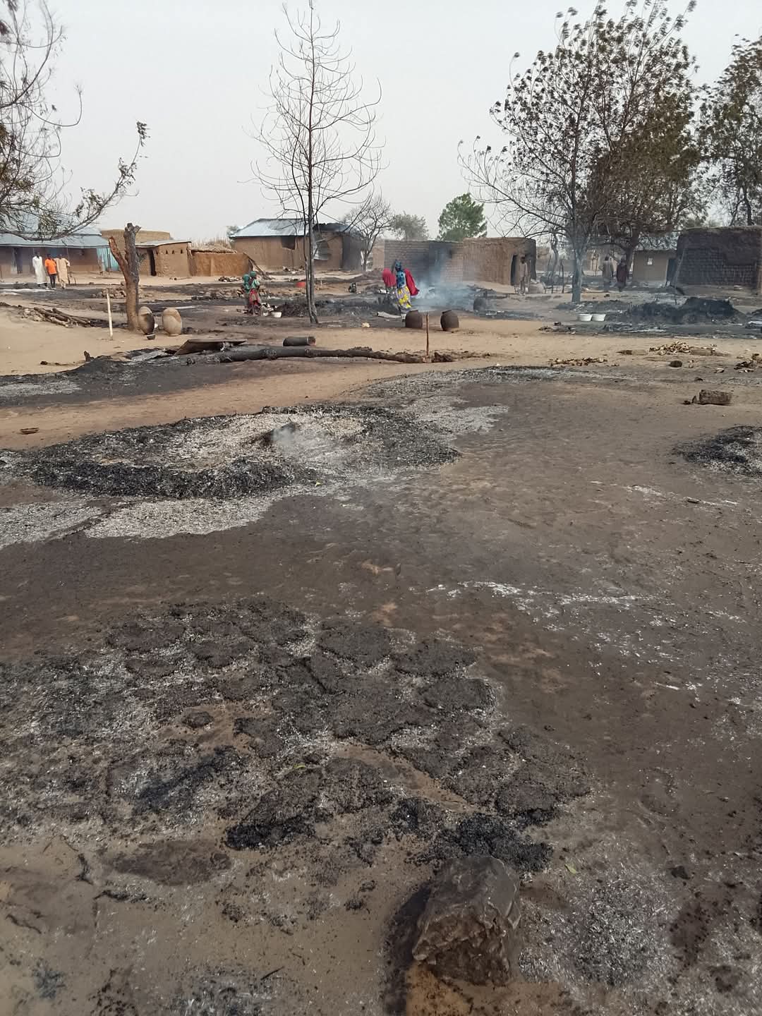 FB IMG 1742577270939 1 1