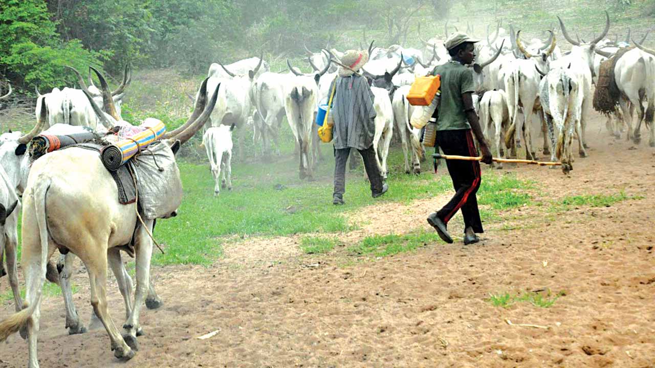 Herdsmen 13 11 16