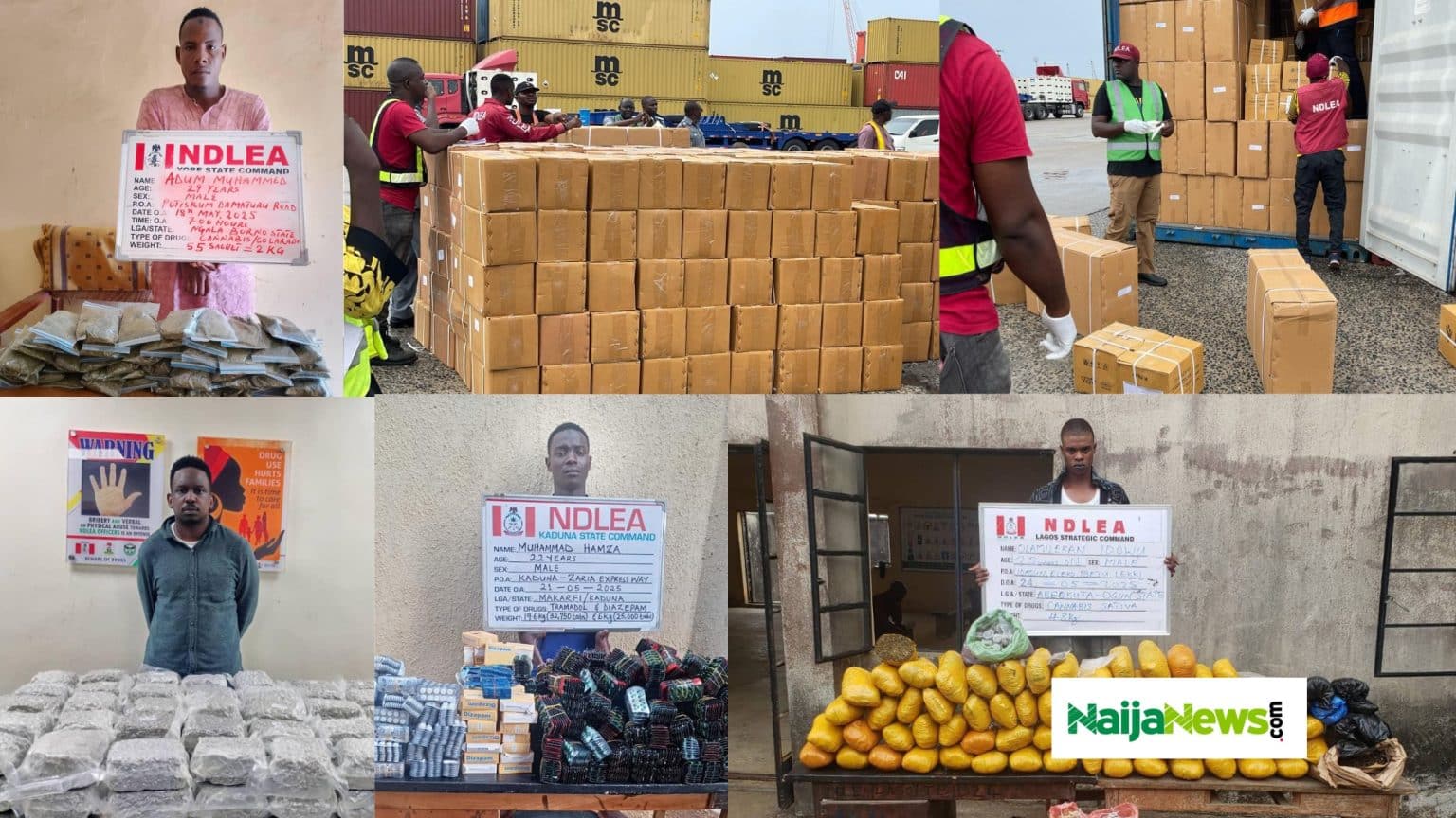 NDLEA arrested Suspects 1536x864 1