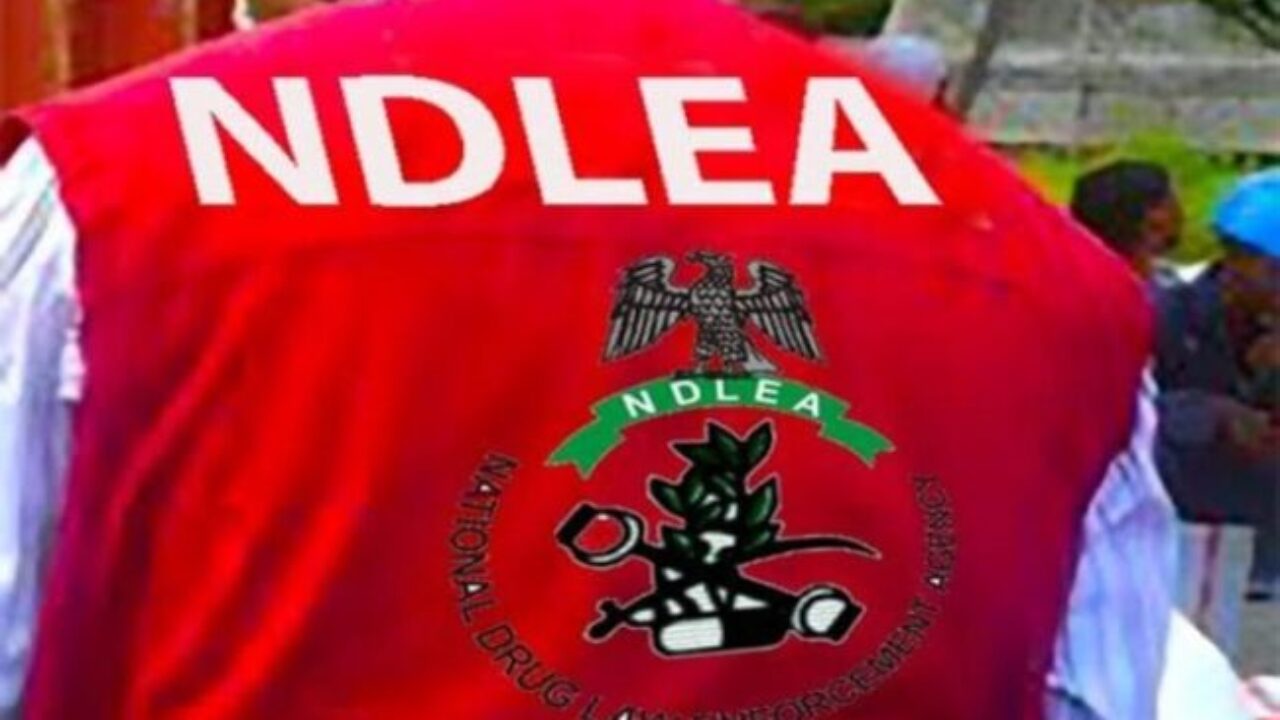 NDLEA 1 2