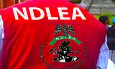 NDLEA 1