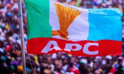 APC Logo 4