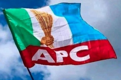 APC2233333 513x340 1