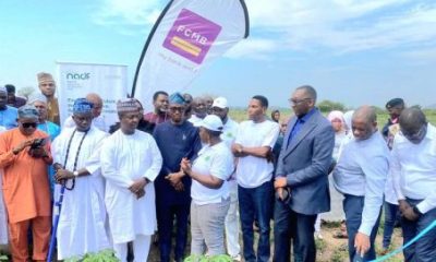 Firm partners NADF 453x340 1