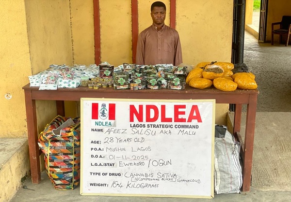 NDLEA 2