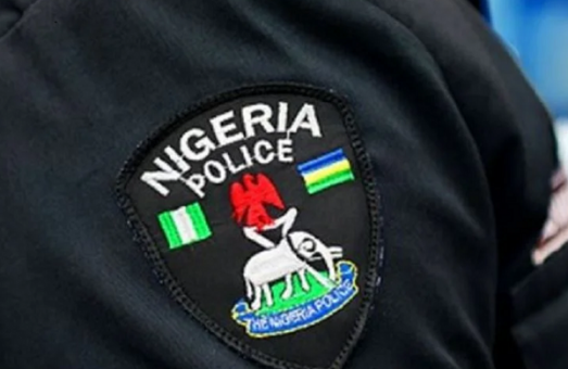 Policeee 523x340 1