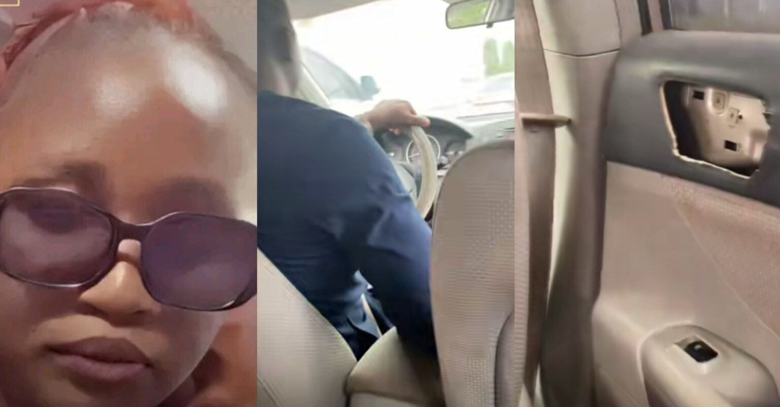 PhotoGrid Plus 1765391834401 1536x802 1