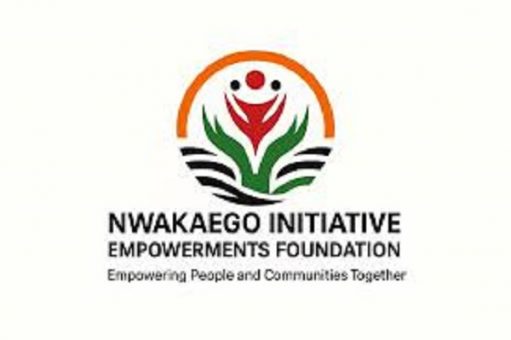 The Nwakaego Initiative and Empowerment Foundation 511x340 1