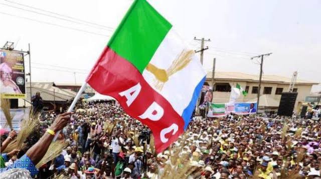 APC flag logo 2