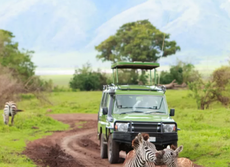 Africa 467x340 1