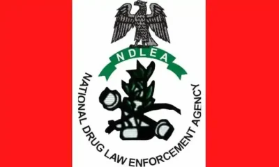 NDLEA 1 1.png 1