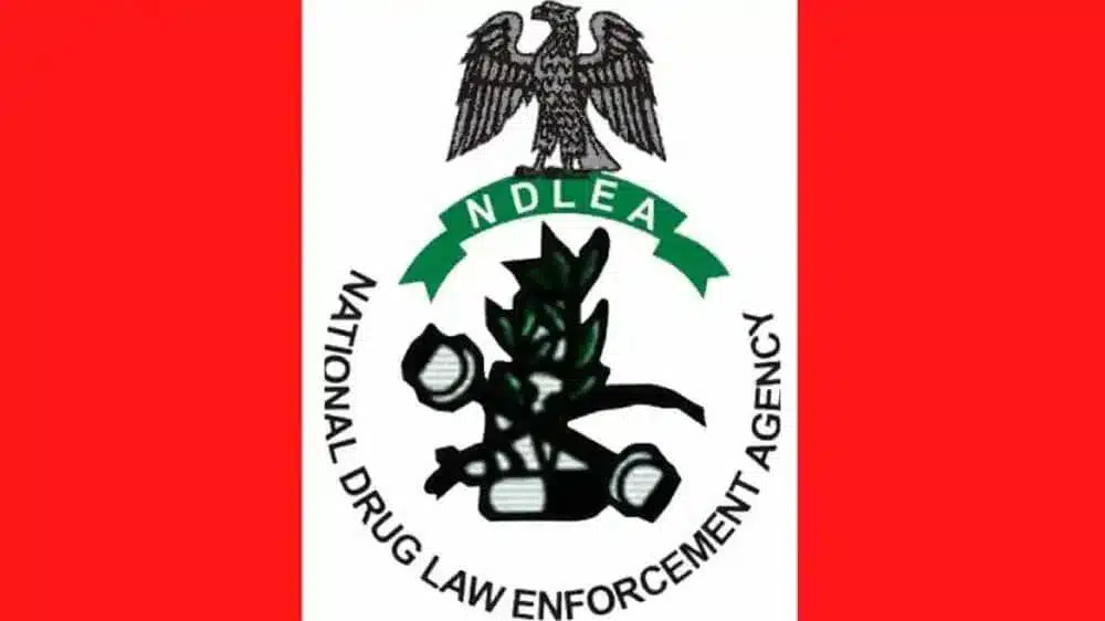 NDLEA 1 1.png 1