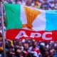 APC Logo 768x547 1