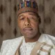 Borno State Governor Prof. Babagana Umara Zulum 768x432 1