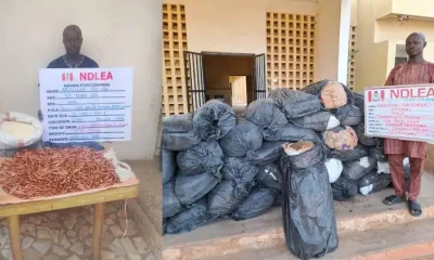 NDLEA Image