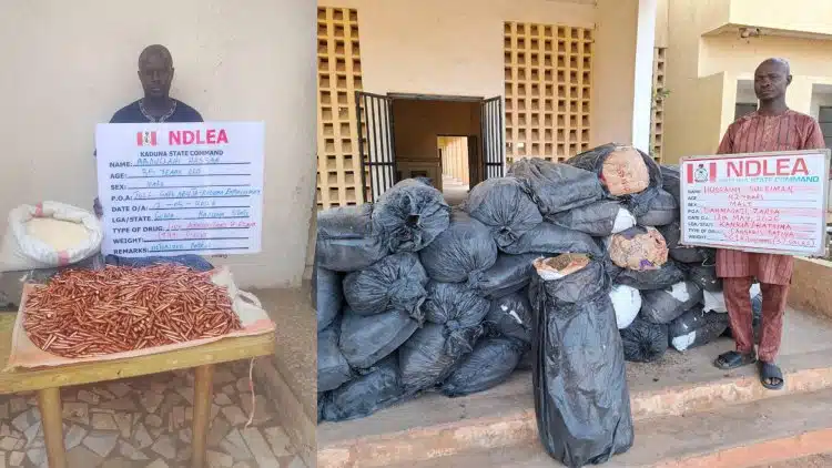 NDLEA Image