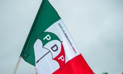 PDP logo 1