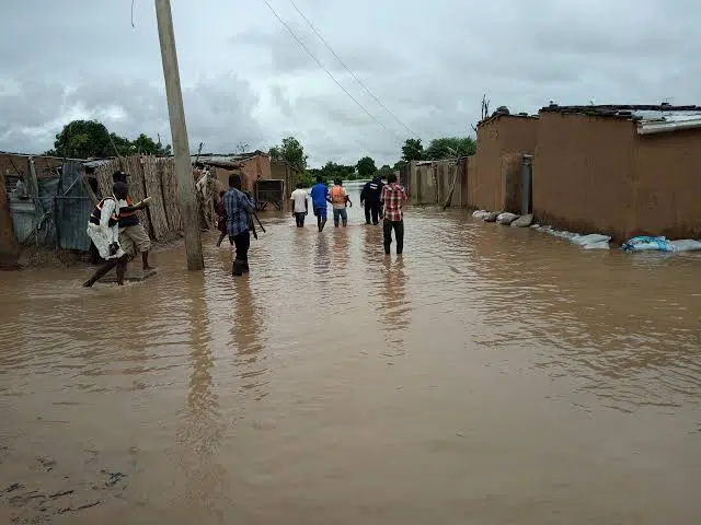 Rainstorm in Damaturu.jpg