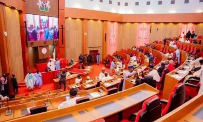 Senate new 599x400 1.jpg 1