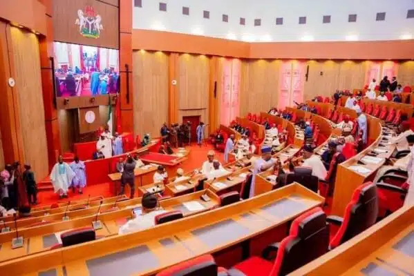 Senate new 599x400 1.jpg 1