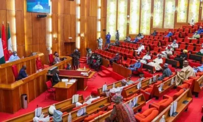 senate 1044x551 1.jpg 6