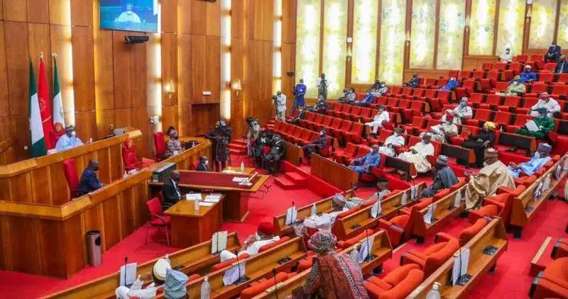 senate 1044x551 1.jpg 6
