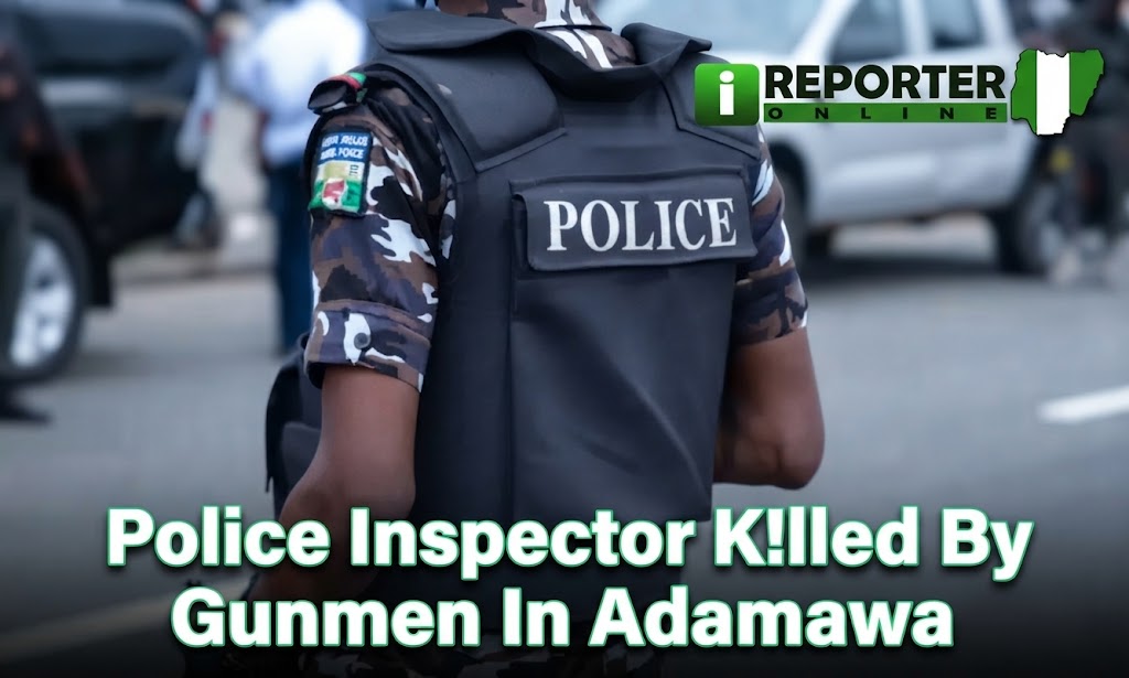 3bfe95ba ba40 4eac 8894 7cea8f5aaf59
